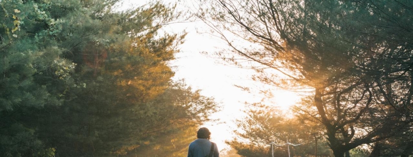 Waarom waterdichte wandelschoenen de beste keuze zijn voor elke wandelaar